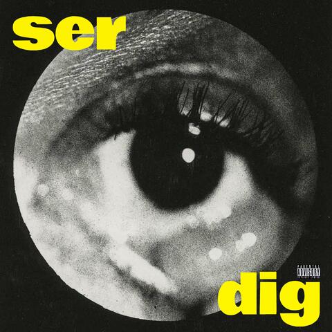 ser dig