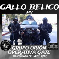 GRUPO ORION OPERATIVA GATE