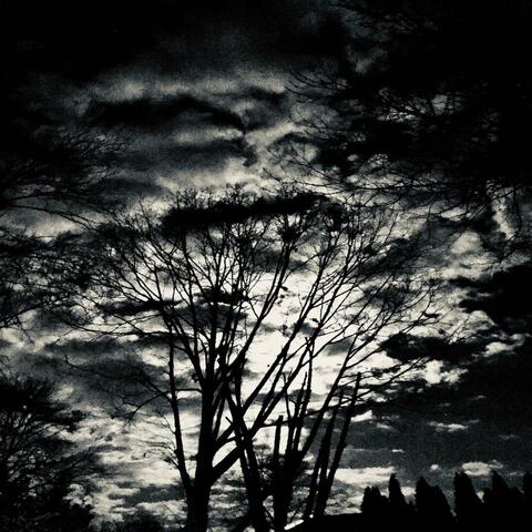 Satellites
