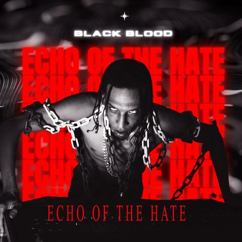 Echo of the hate