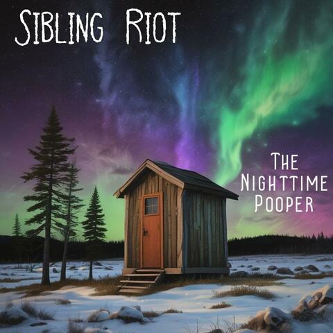 The Nighttime Pooper