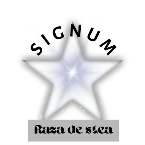 Raza de stea