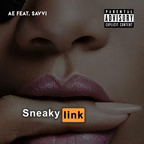 Sneaky Link (feat. $avvi)