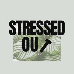 Stressed Out (Prayer Plants)