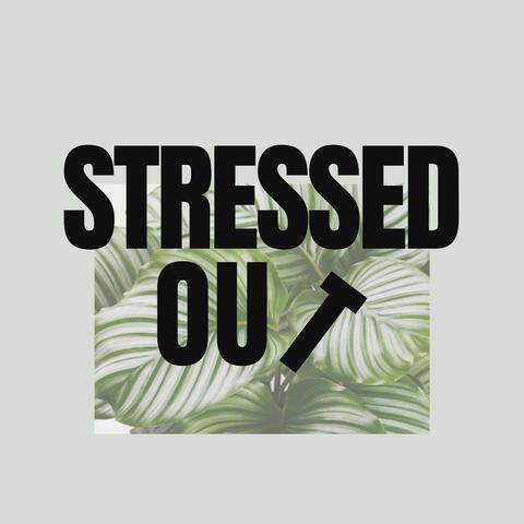 Stressed Out (Prayer Plants)