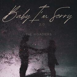 Baby I'm Sorry 2.0