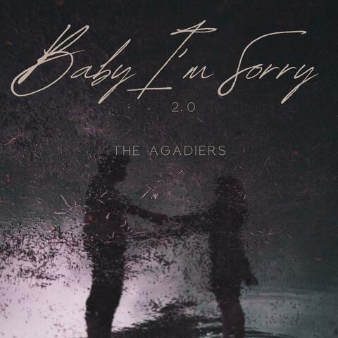 Baby I'm Sorry 2.0