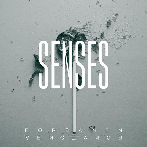 Senses