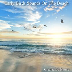 Early Birds Sounds On The Beach Chapter Two