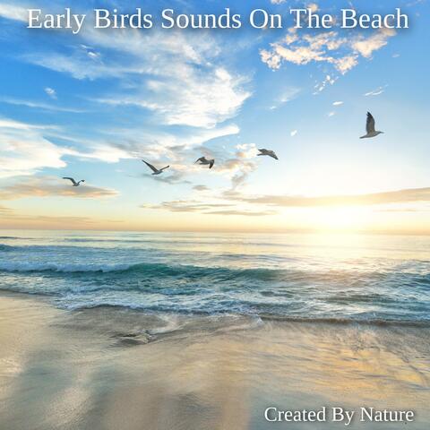 Early Birds Sounds On The Beach