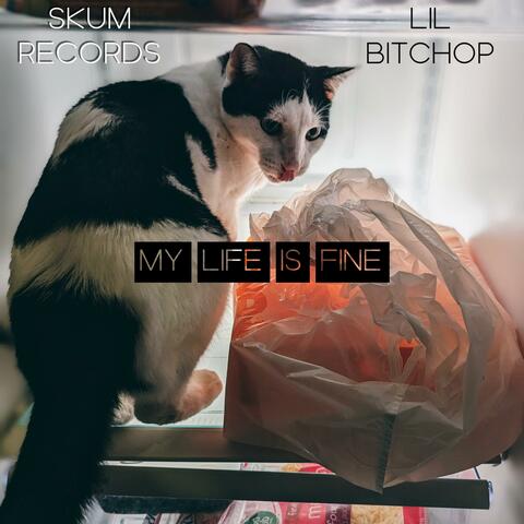 MY LIFE IS FINE