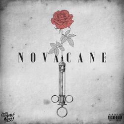 NovaCane