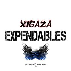 Xigaza Expandables (feat. Hlanganyeta / Sgodas / Dr nhanha / Xidyambewu /)