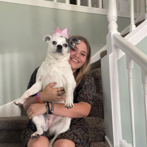 Dog Days Are Over