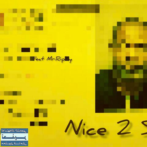 Nice 2 Say (feat. Mr.Ripley)