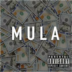 Mula (feat. MikeLarryBag & HollygroveAce)