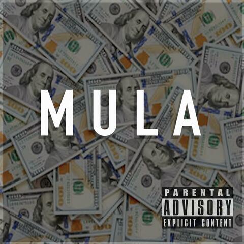 Mula (feat. MikeLarryBag & HollygroveAce)