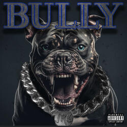 BULLY