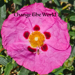 Change the World