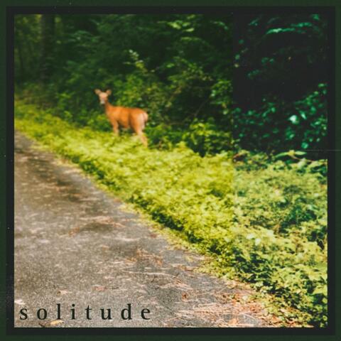 solitude