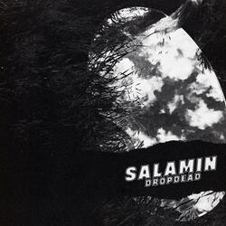SALAMIN
