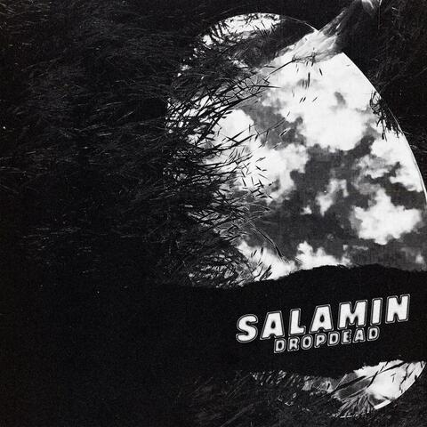 SALAMIN