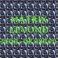 Matrix