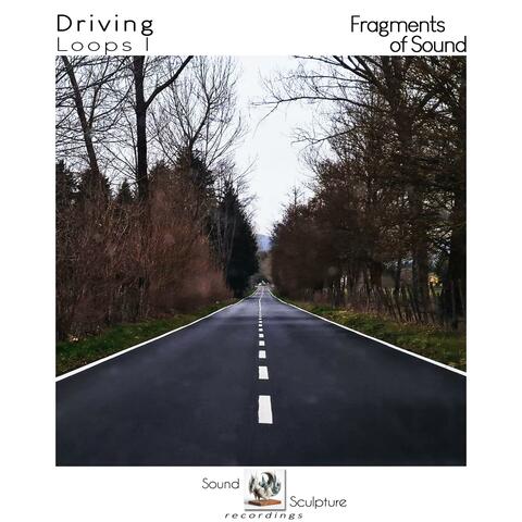 Driving Loops I