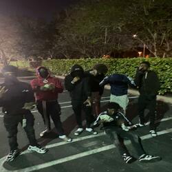 Black beetles (official audio)