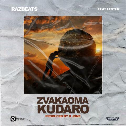 Zvakaoma Kudaro (feat. Lester)