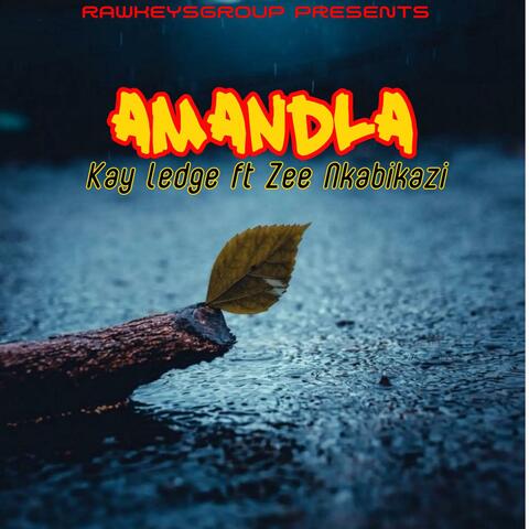 AMANDLA (feat. Kay-Ledge & Zee Nkabikazi)