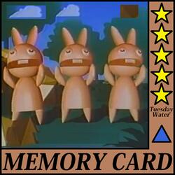 Memory Card
