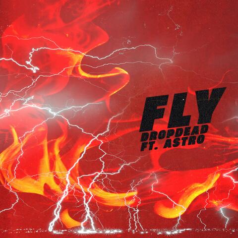 FLY (feat. A$tro)