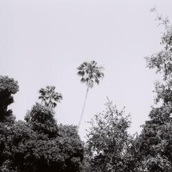 Do You Love Me Still?