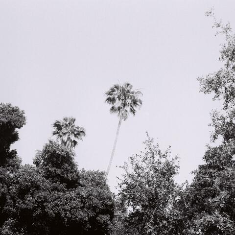 Do You Love Me Still?