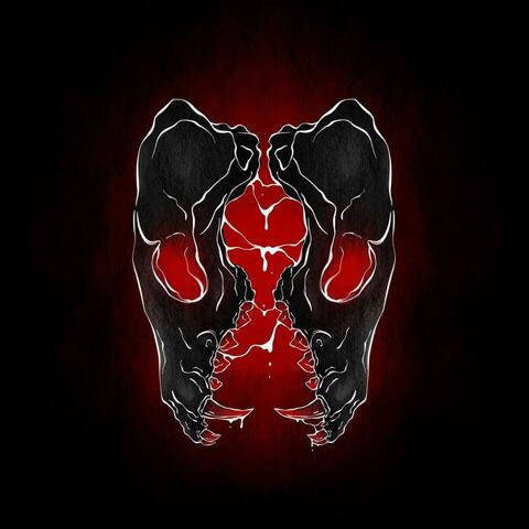 Lucidity