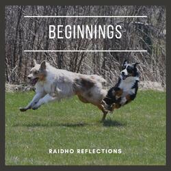 Beginnings