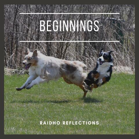 Beginnings