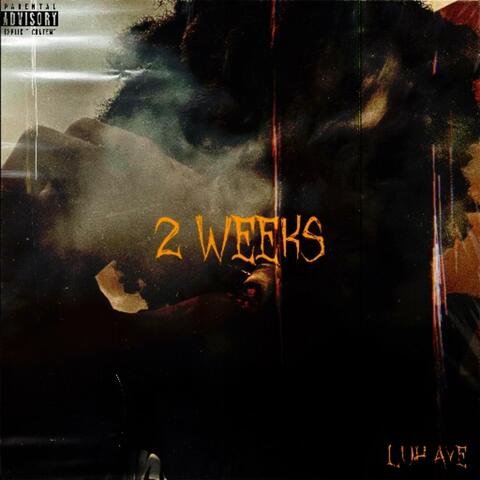 2 Weeks (feat. Luh Aye)