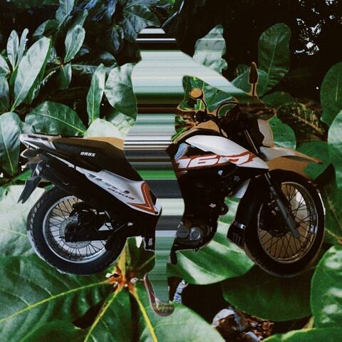 Motorcycle Island