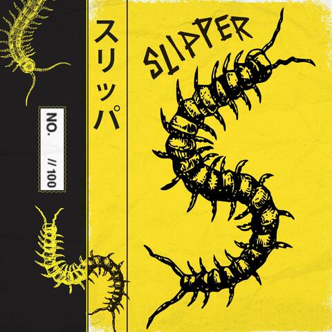Slipper