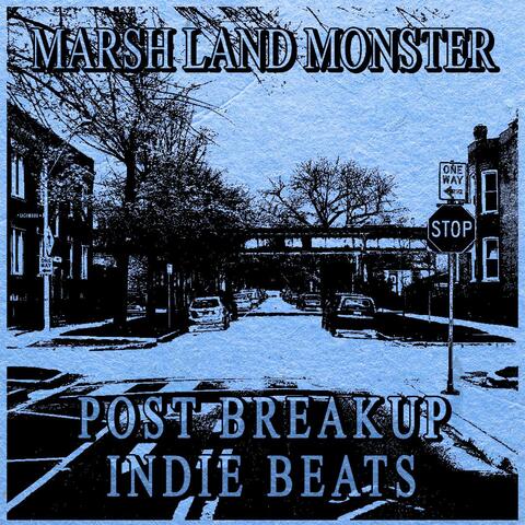 Post Breakup Indie Beats