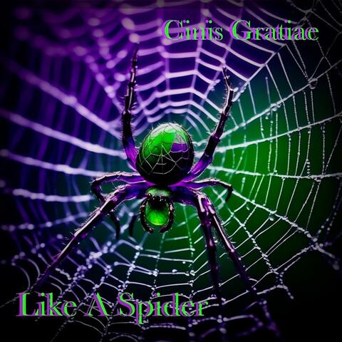 Like A Spider