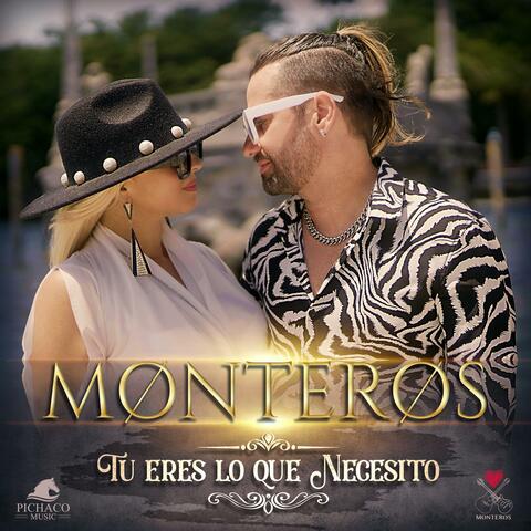 TU ERES LO QUE NECESITO