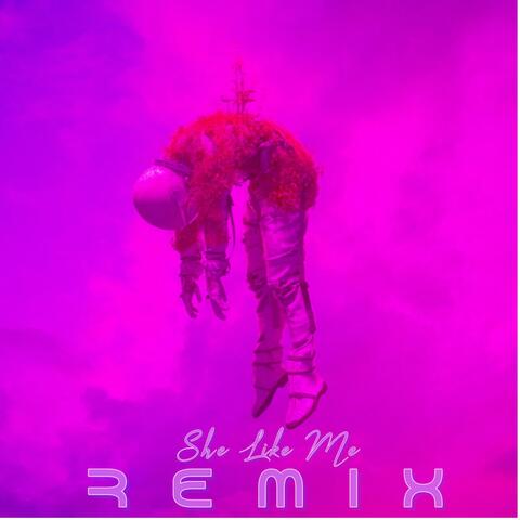 She Like Me (REMIX) (feat. Waxtheproducer & Vkomah) [Radio Edit]