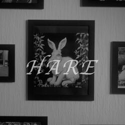 The White Hare