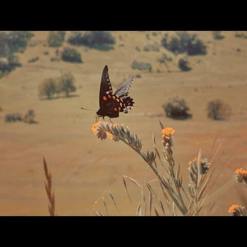 Golden Hour (Piano and Symphony )