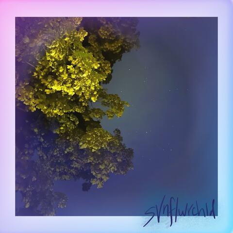 stars