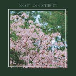 Does it Look Different? (feat. Karissa Bone)