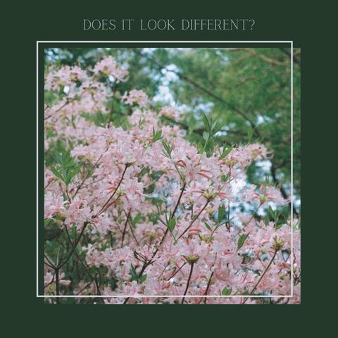 Does it Look Different? (feat. Karissa Bone)